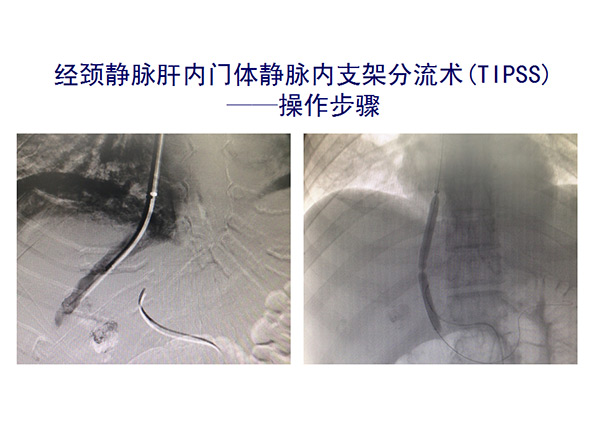 未标题-1.jpg