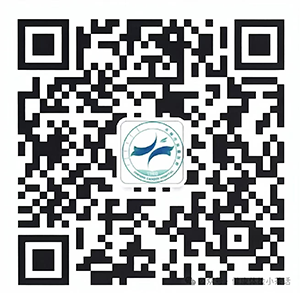 DM_20260228094434_003.png DM_20260228094434_003.png