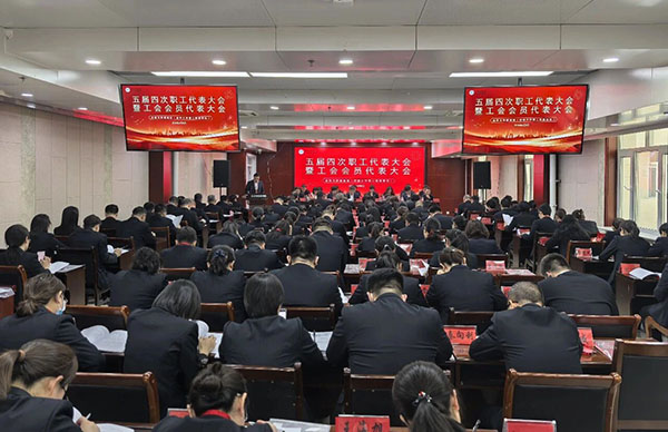 DM_20260409092655_015.jpg DM_20260409092655_015.jpg